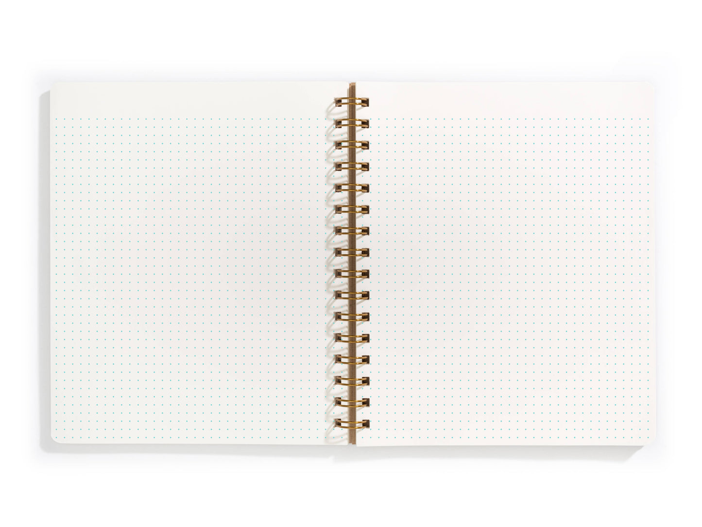 Standard Notebook - Kraft: Right Handed / Lined