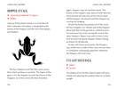 Gibbs Smith - Pocket Guide to Games, 2nd edition: Play Un-plugged