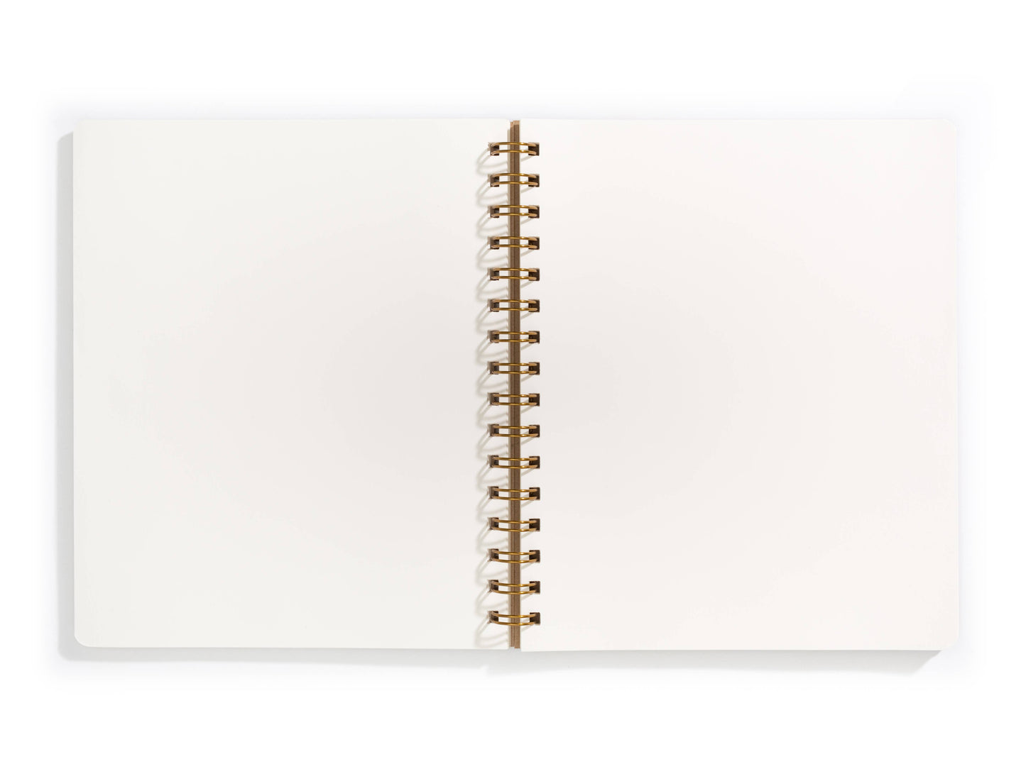 Standard Notebook - Kraft: Right Handed / Lined