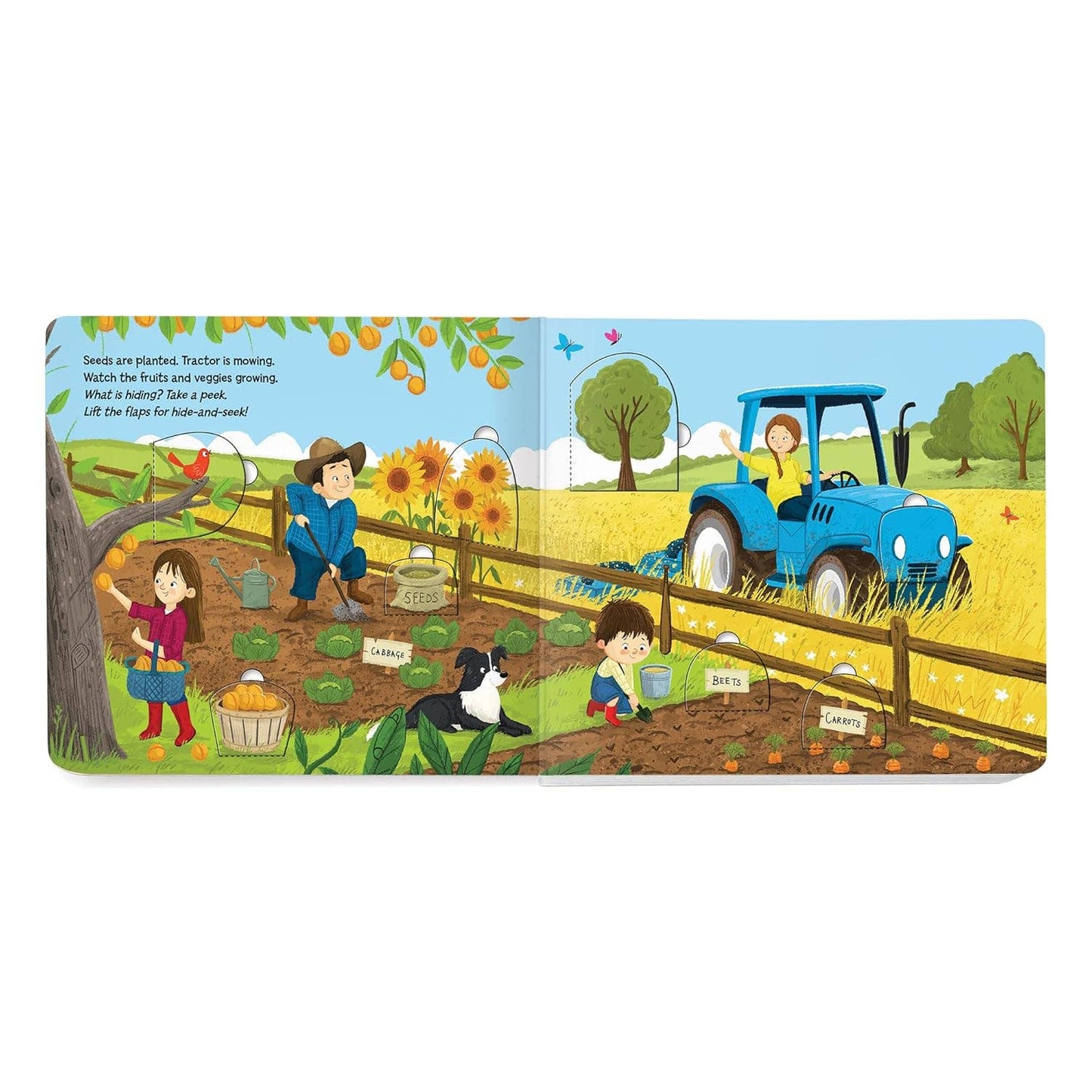 Highlights for Children - Hide-and-Seek On the Farm