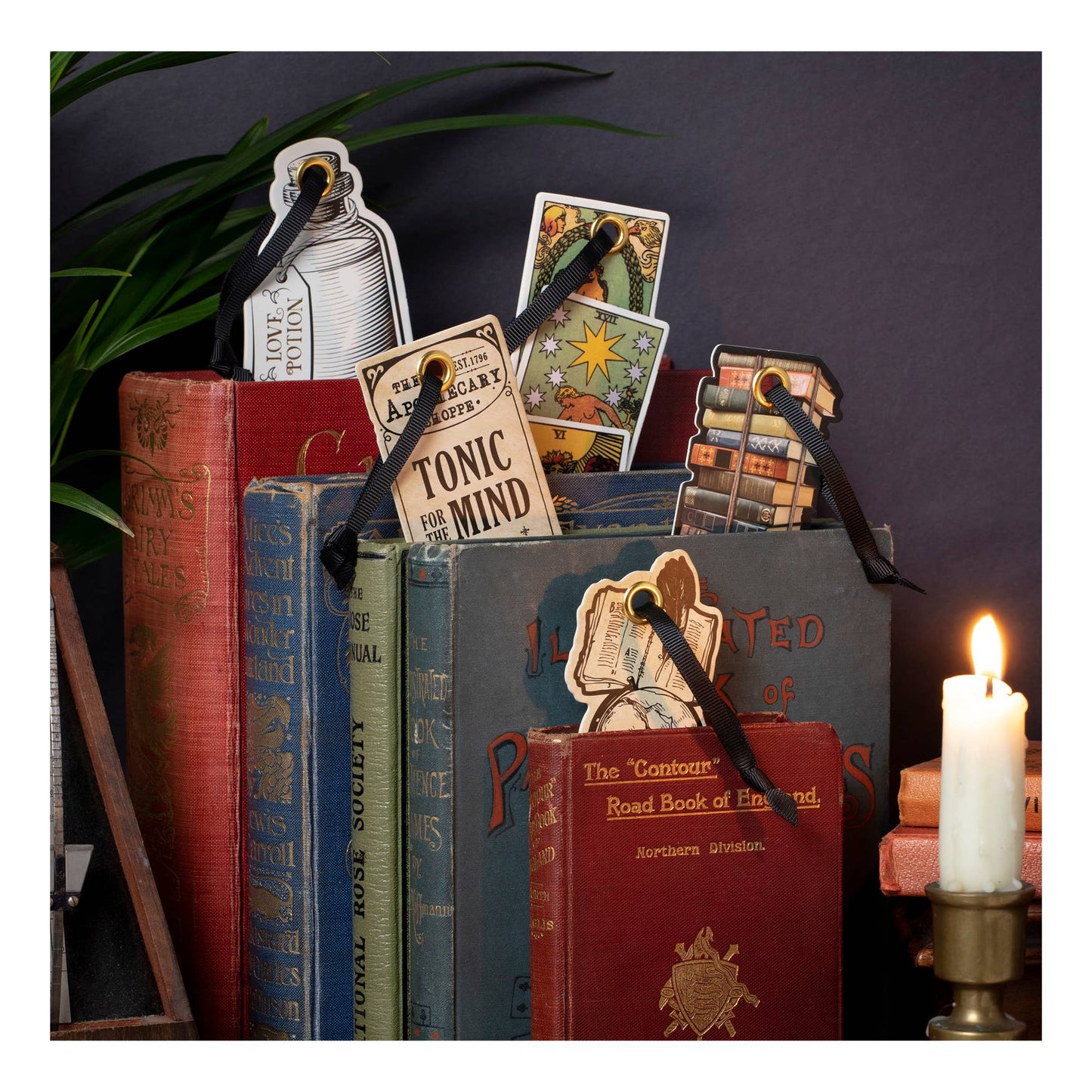 if USA - Academia Bookmarks: Tarot