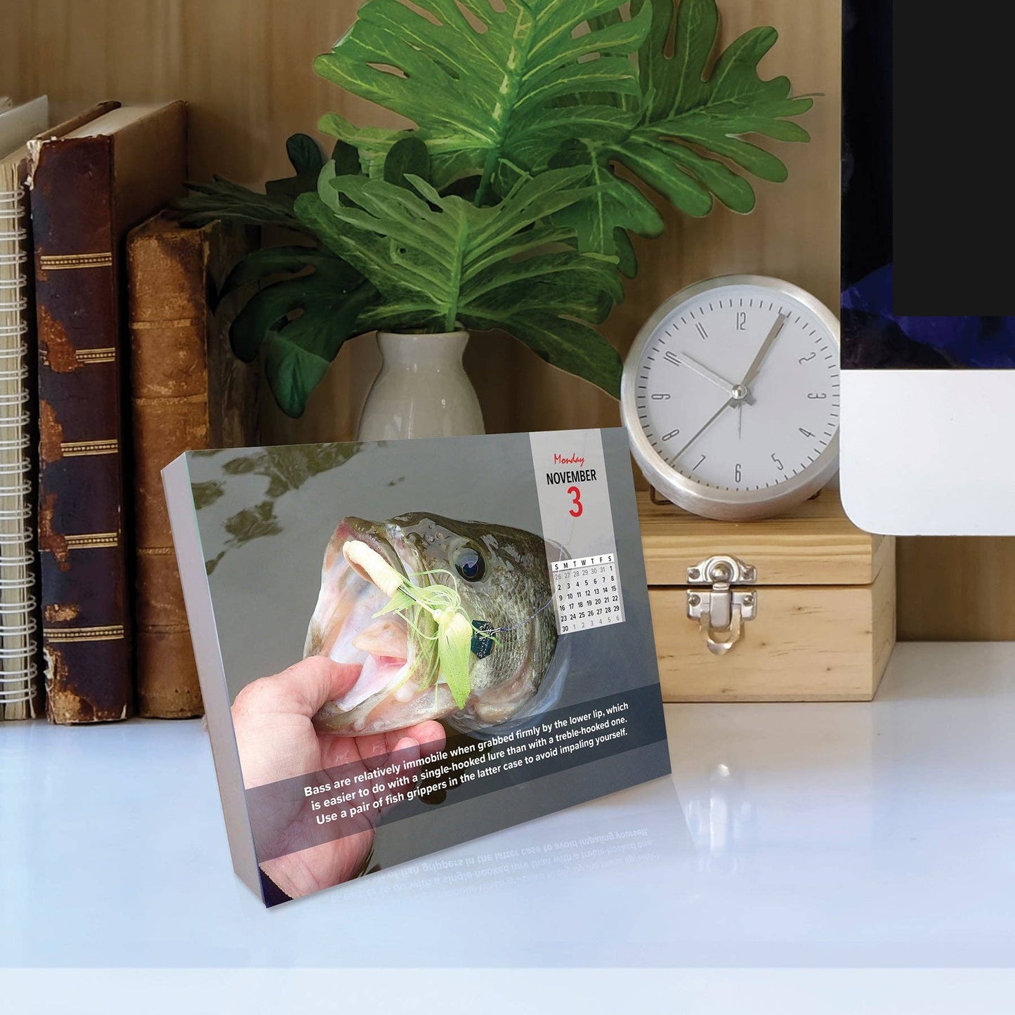 Ken Schultz's Daily Fishing Tips 2025 Box Calendar