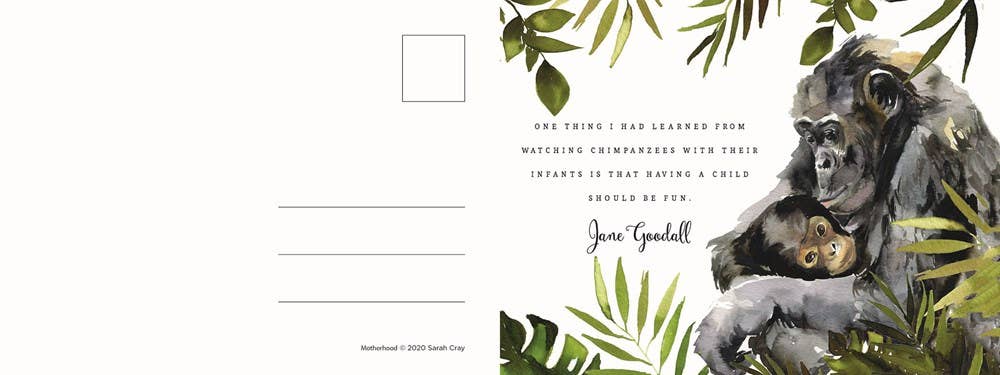 Gibbs Smith - Motherhood 31 Postcards