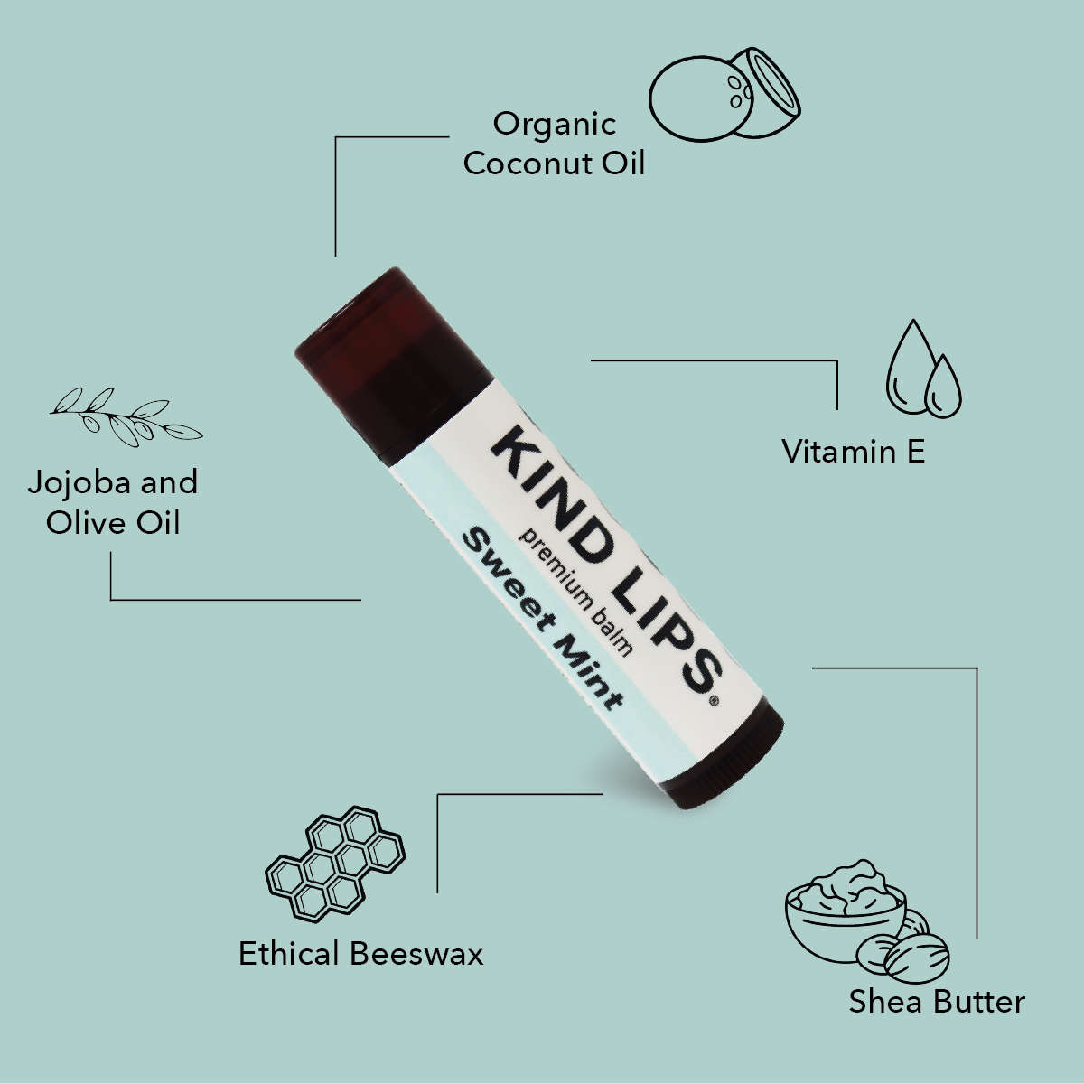 Kind Lips - Lip Balm, Sweet Mint, 10 Pack Refill