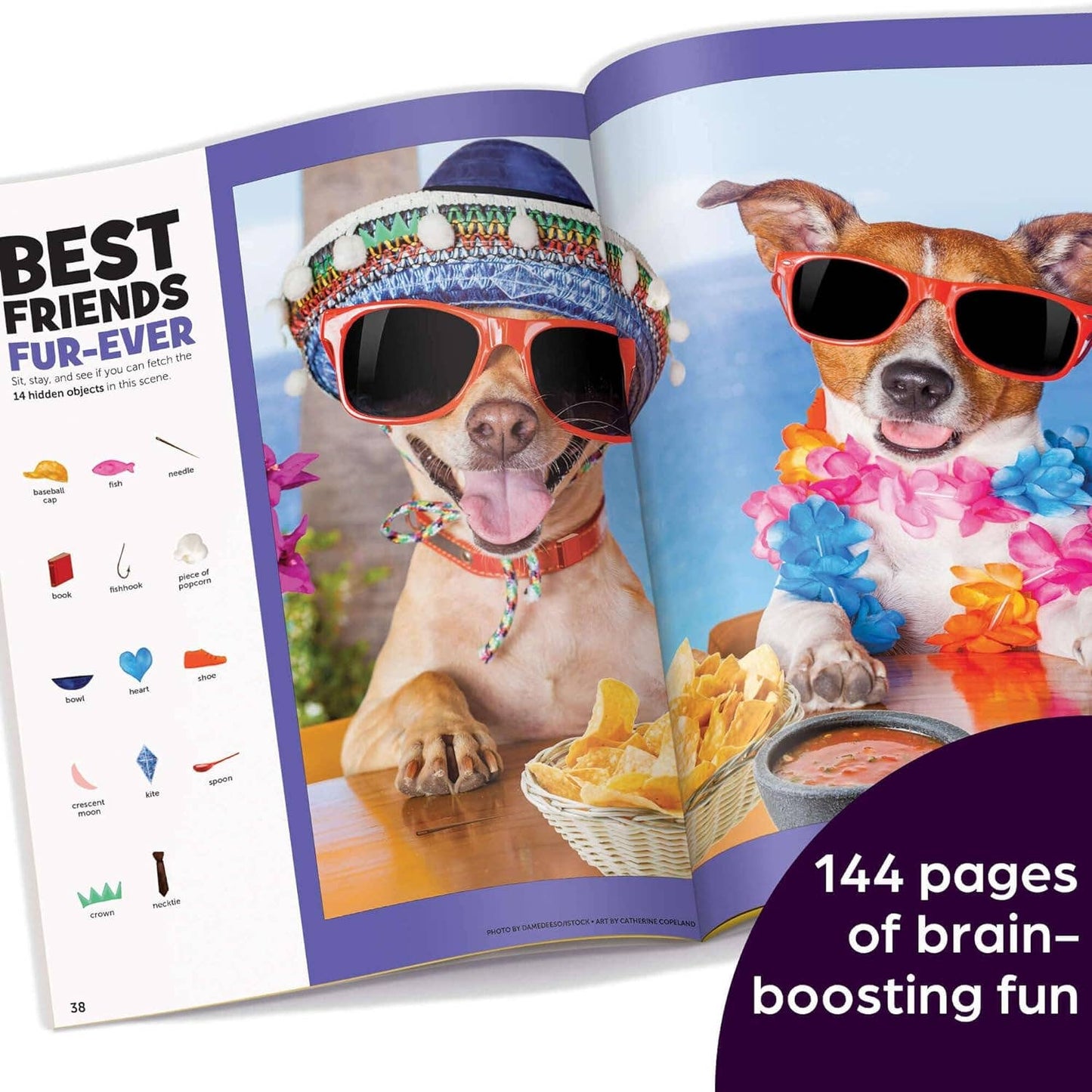 Highlights for Children - Hardest Hidden Pictures Book Ever