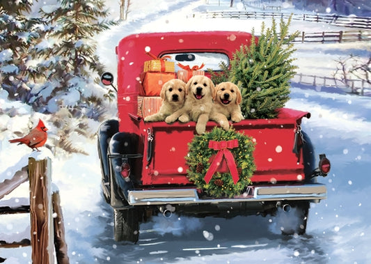 Bringing Home the Tree Deluxe Boxed Holiday Cards (20 Cards, 21 Self-Sealing Envelopes) by Peter Pauper Press Inc