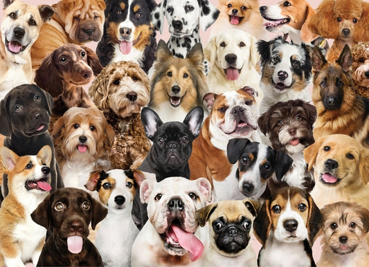 All the Dogs 500 Piece Jigsaw Puzzle by Peter Pauper Press Inc